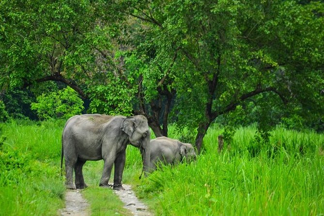 1 Day Akagera Game Drive Safari - The 5:00 am departure from Kigali