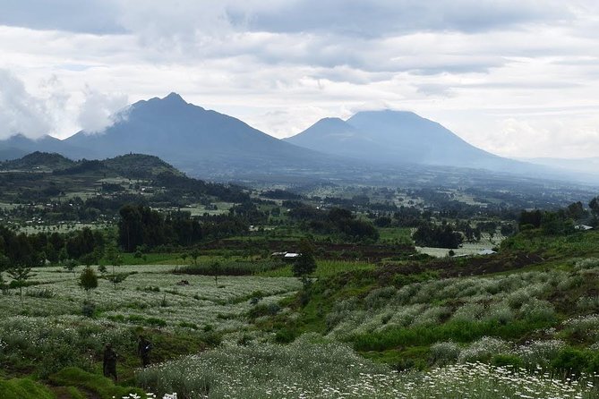1-Day Bisoke Volcano Hiking Experience - What the $570 price really covers
