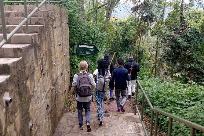 1 Day Canopy Walk Adventure in Nyungwe Forest National Park - Guides who shape the day