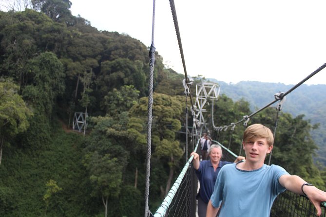 1 Day Canopy walk way in Nyungwe Natioinal park - Key points at a glance