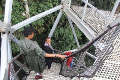 1 Day Canopy walk way in Nyungwe Natioinal park