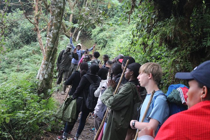 1 Day Canopy walk way in Nyungwe Natioinal park - Nyanza’s King’s Palace and the old royal court