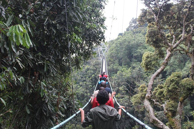 1 Day Canopy walk way in Nyungwe Natioinal park - Best seasons, what to pack, and small practical details