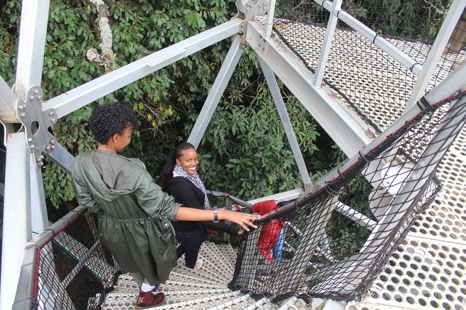 1 Day Canopy walk way in Nyungwe Natioinal park - A 5:00 am start and a roughly four-hour drive