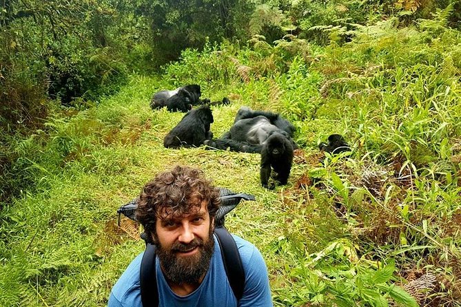 1 Day Gorilla Trekking Uganda - Crossing from Rwanda into Uganda