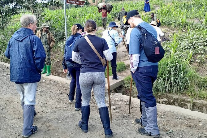 1 Day Rwanda Gorilla Trekking Tour - Leaving Kigali Before Sunrise