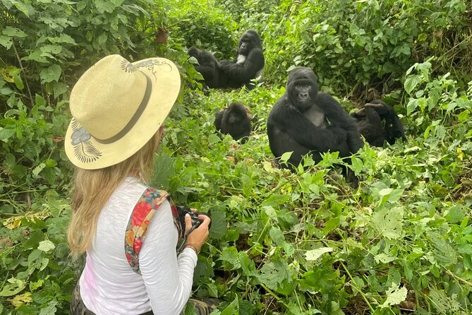 1 Day Rwanda Gorilla Trekking Tour In The Volcanoes National Park - Lunch, the return drive, and Iby’iwacu Cultural Village