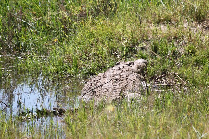 1 Day Safari to Akagera national park-Big5 Safari - The 5:00 am departure from Kigali