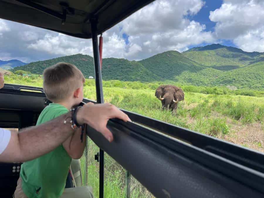 2-Day Akagera Game Drive, Boatride & Safari resort overnight - Checking in near Lake Ihema