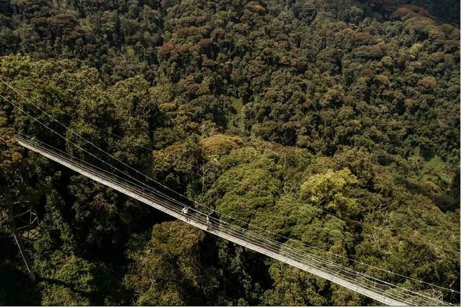 2 Days Chimpanzee trekking & Canopy Walk in Nyungwe National Park - Nyanza, the King’s Palace, and Huye