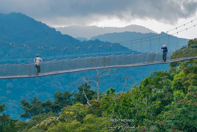 2 Days Chimpanzees trekking Tour and Canopy walk Adventure - What the $1,350 price really covers