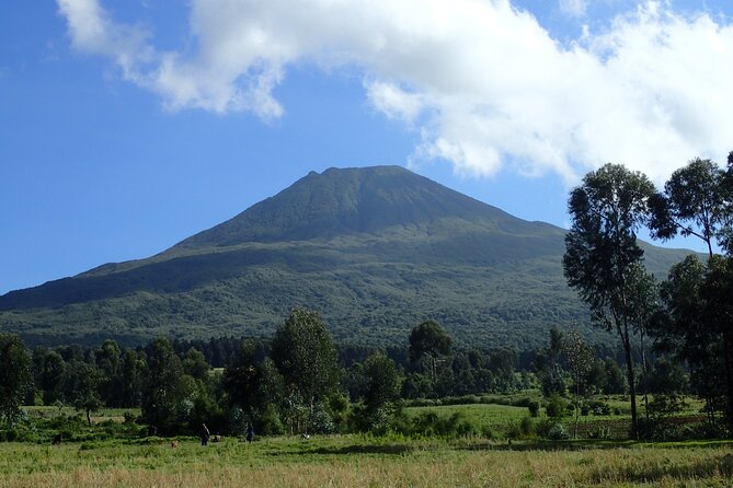 2 Days Gorilla & Golden Monkey Trekking Safaris - The Gorilla Trek and Its Extra Cost