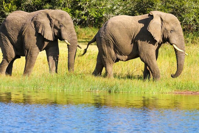 2 Days in Akagera National Park - Why Akagera Works as a Two-Day Safari