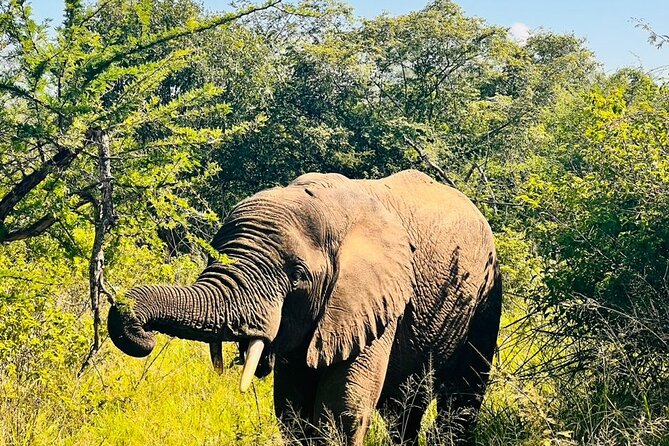 2 Days in Akagera National Park - The 5:30 p.m. Night Game Safari