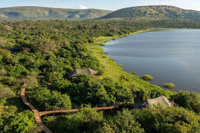 2 Days in Akagera National Park - Bird-Watching Around Akagera’s Lakes and Swamps
