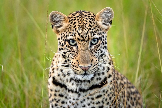 2 Days in Akagera National Park - Who Will Enjoy This Two-Day Plan