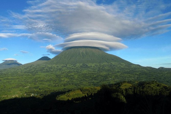 2 Days Mountain Gorilla Safari Rwanda - Why the Silverback Sighting Matters