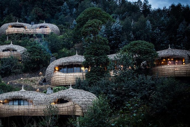2 Days Mountain Gorilla Safari Rwanda - Timing, Fitness, and Age Rules