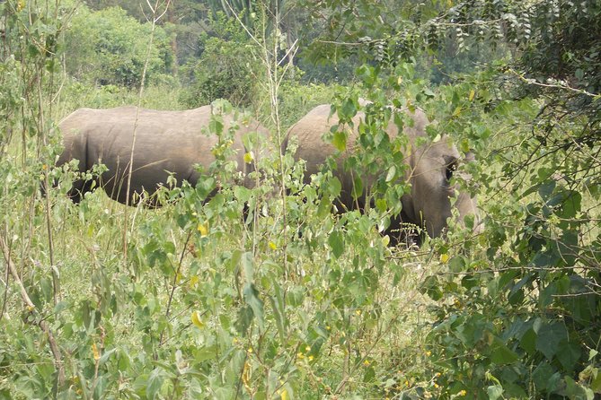 2 Days Murchison Falls Big 5 Savannah wildlife safari - Why Murchison Falls works well as a two-day safari