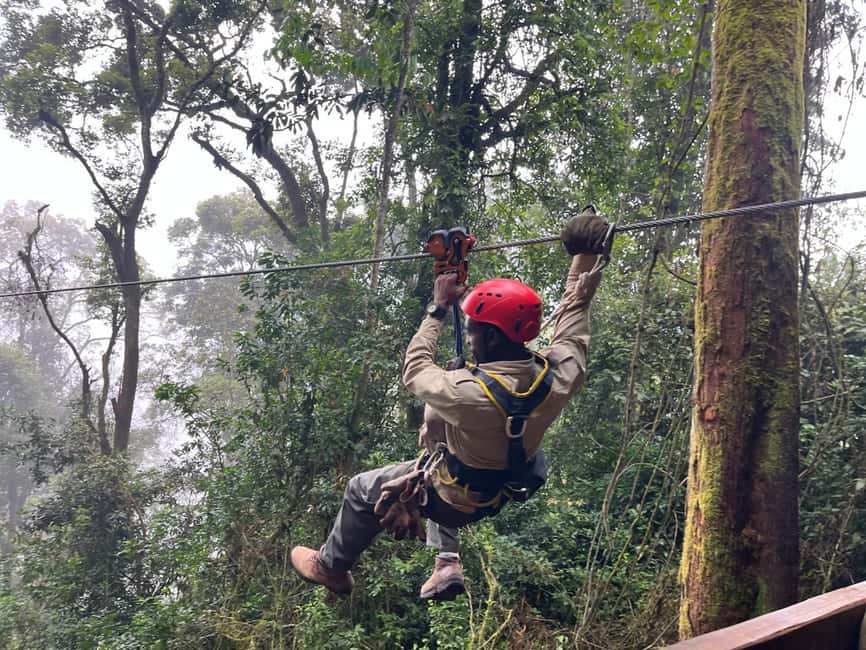 2 Days Nyungwe National Park Tours -Chimp-Canopy-Waterfall - A quiet night at Nyungwe Resort