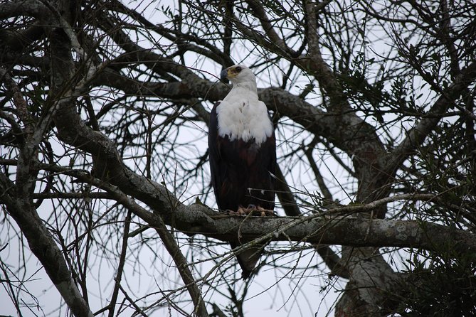 2 days trip_Akagera National Park (Wildlife Safari) - The northern park and the road back to Kigali