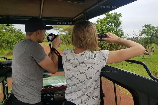 2 days trip_Akagera National Park (Wildlife Safari) - Is $1,315.80 per person fair value?