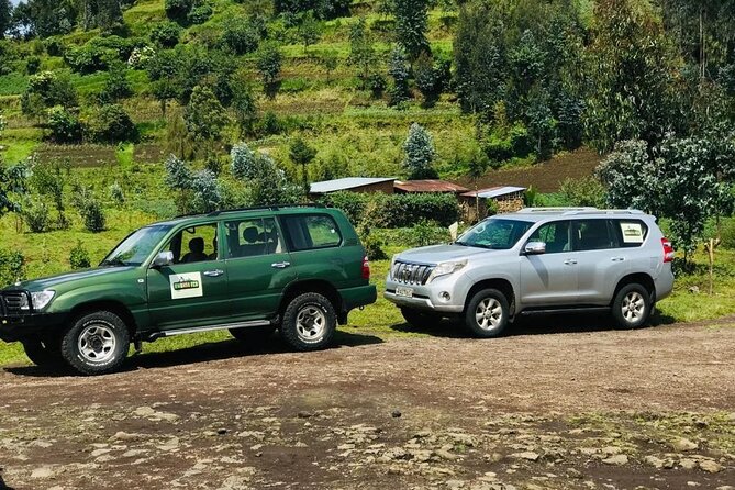 2 days Uganda Gorilla trekking - Is $1,750 good value?