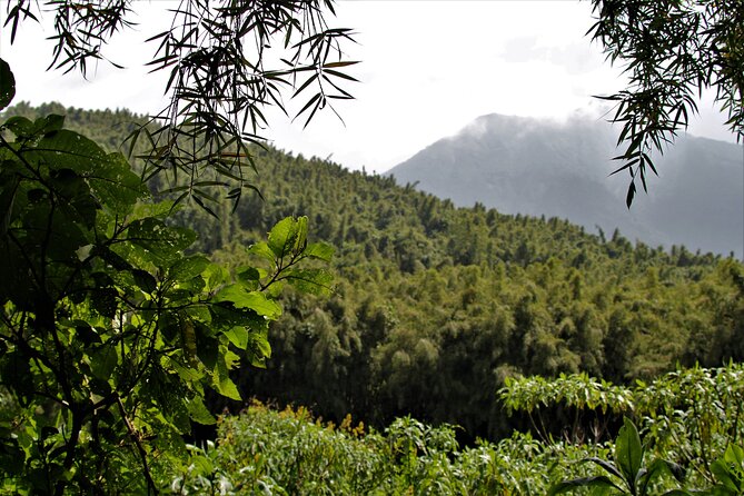 2 days Uganda Gorilla trekking - Leaving Kigali for Bwindi
