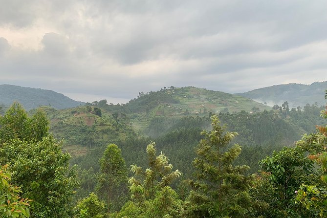 3 Day Gorilla Trek at Bwindi National Park via Kigali - Bwindi or Mgahinga: an important permit detail