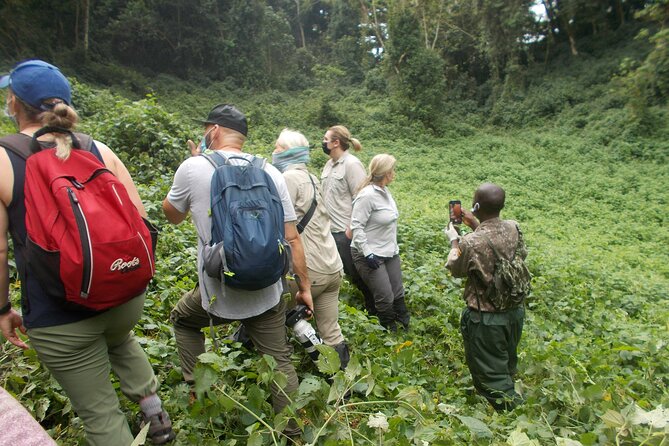3 Day Rwanda to Uganda gorilla trekking Safari - From Kigali to Bwindi across Rwanda’s hills
