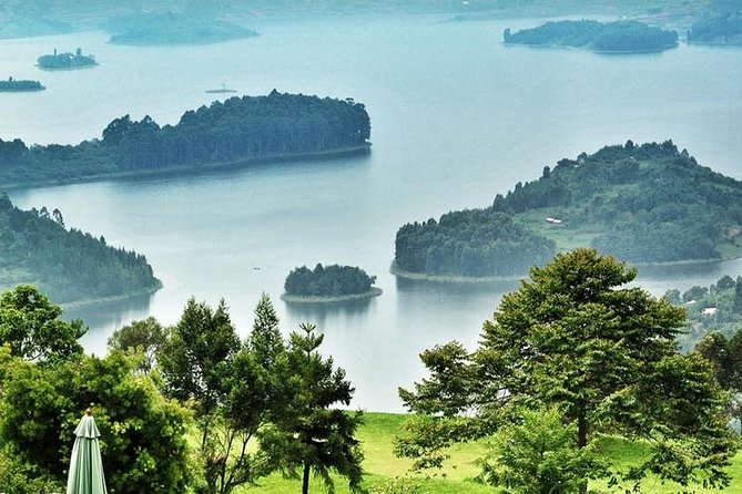 3 Day Rwanda to Uganda gorilla trekking Safari - Bwindi gorilla trekking: steep ground and one precious hour