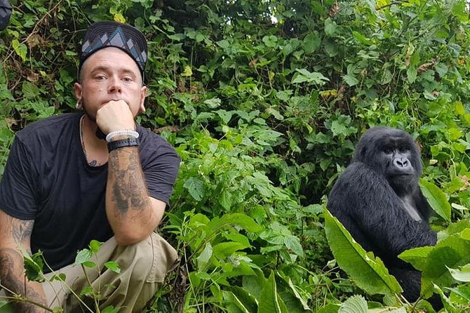 3 Days Uganda Gorilla Trekking Safari - The Bwindi gorilla trek: what the hardest day feels like