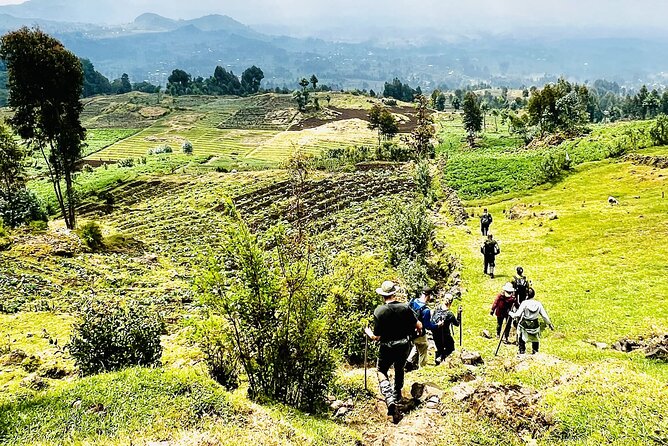 5 Days Akagera and Volcanoes National Park - Lake Rwanyakazinga changes the way you see wildlife