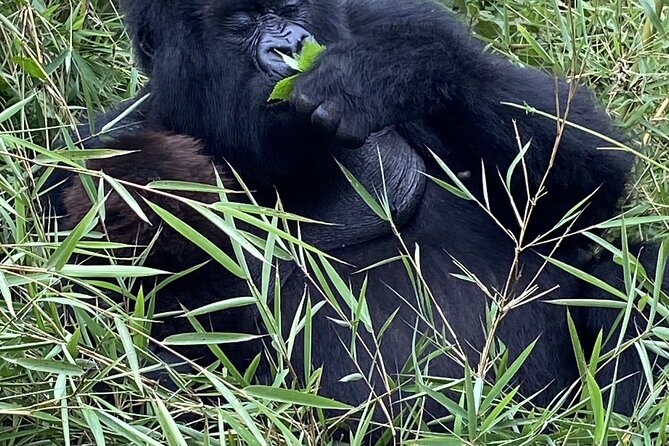 5 Days Akagera and Volcanoes National Park - Guides and the human side of the trip