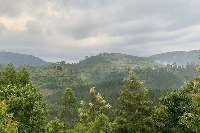 6 Days Rwanda Uganda Budget Wildlife Safari - Day 5: Kasenyi Plains and the Kazinga Channel
