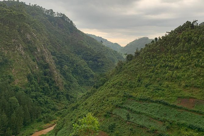 6 Days Rwanda Uganda Budget Wildlife Safari - What the $2,885 price really covers