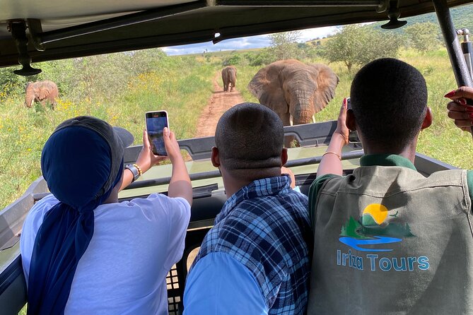 Akagera National Park 1 day Safari Experience - Key points to know before booking