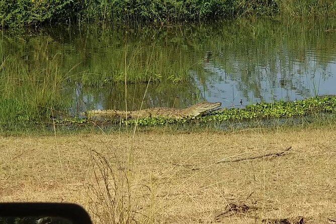 Akagera National Park 1 day Safari Experience - Why Akagera works as a Kigali day trip