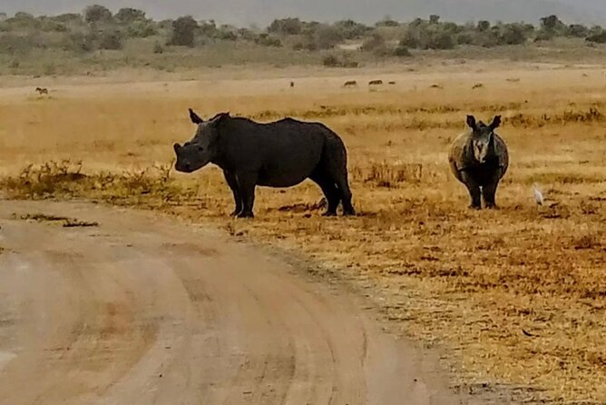 Akagera National Park 1 day Safari Experience - The first three hours among animals
