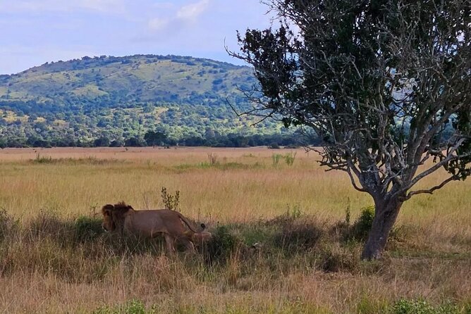Akagera National Park 1 day Safari Experience - Who should book this safari