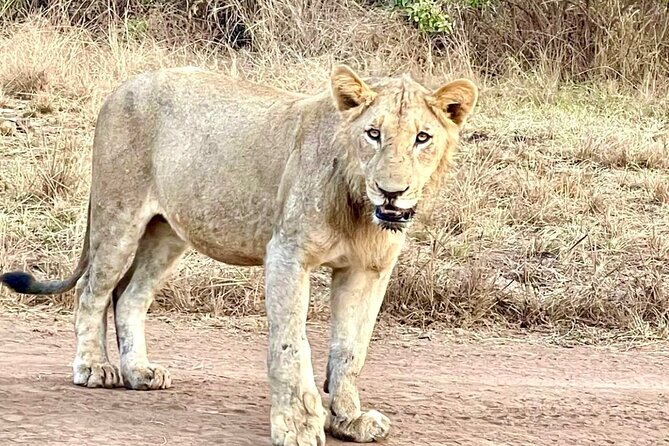 Akagera National Park 1 day Safari Experience - The 5 AM start and the road east