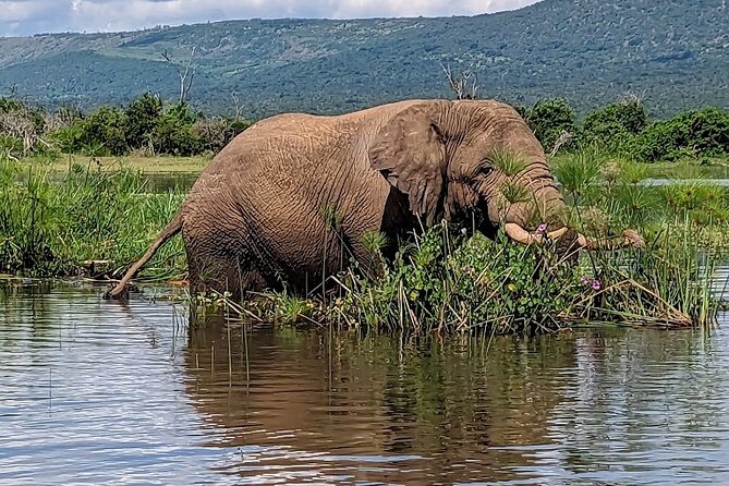 Akagera National Park Guided Day Pass - The 5:30 a.m. start and the road into the park