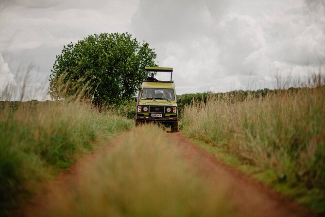Big 5 Safari Day Trip - Booking, cancellation, and who should go