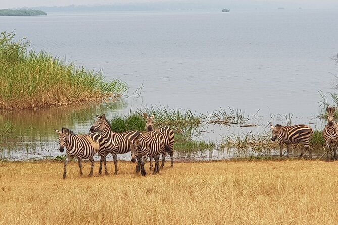 Cool Share Day Akagera Game Drive, Daily Depart, Boat Ride, Lunch - Lunch, water, and what to carry