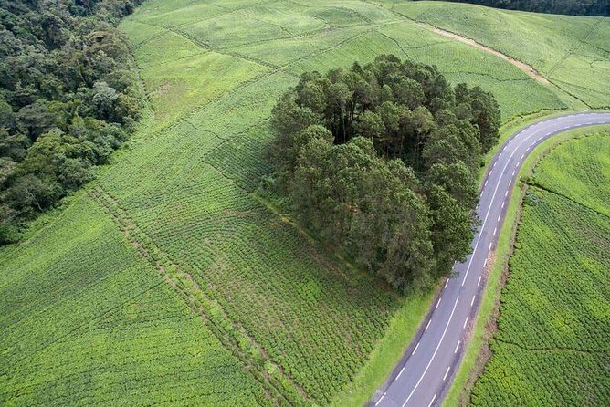 Discover the Beauty of Rwanda in 12Days - Is $3,453.34 per person a fair price?