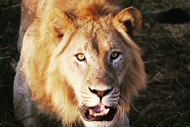 From Kigali: 12 Hour Custom Day trip for game Drive in Akagera NP - Key points at a glance