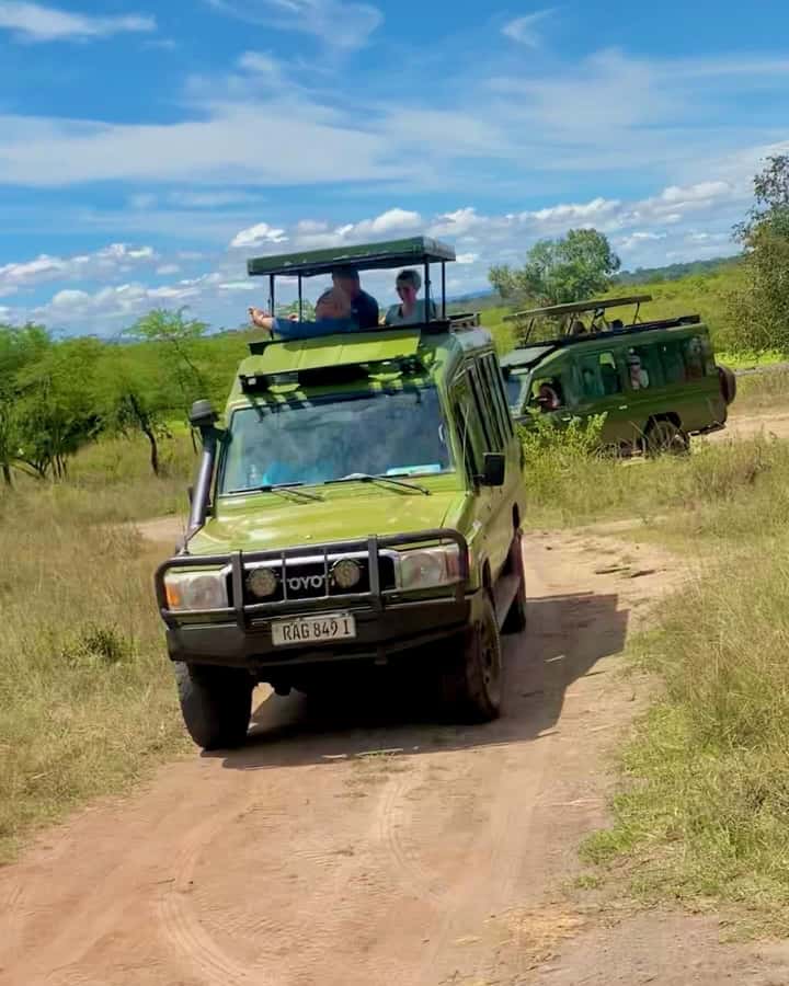 From Kigali: Akagera National Park Safari game drive - From Kigali’s hills to Akagera’s eastern plains