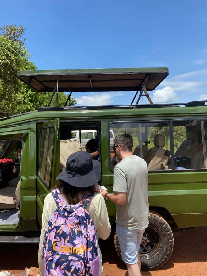 From Kigali: Akagera National Park Safari game drive - How the Big Five search actually works