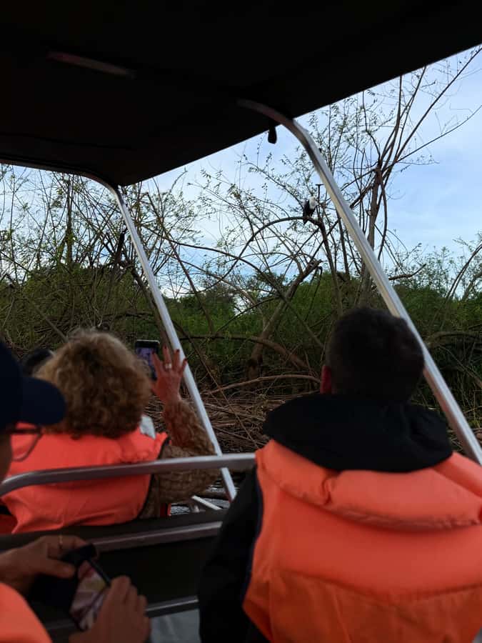 From Kigali: Akagera National Park Safari game drive - Afternoon tracking through giraffe and hippo country