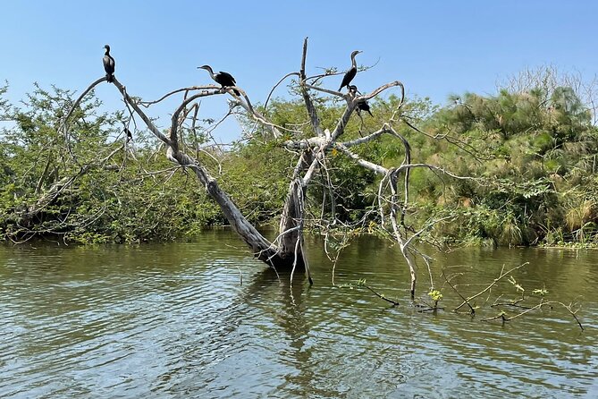 Full Day Akagera National Park Game Drive and Boat Safari - One hour on Lake Ihema